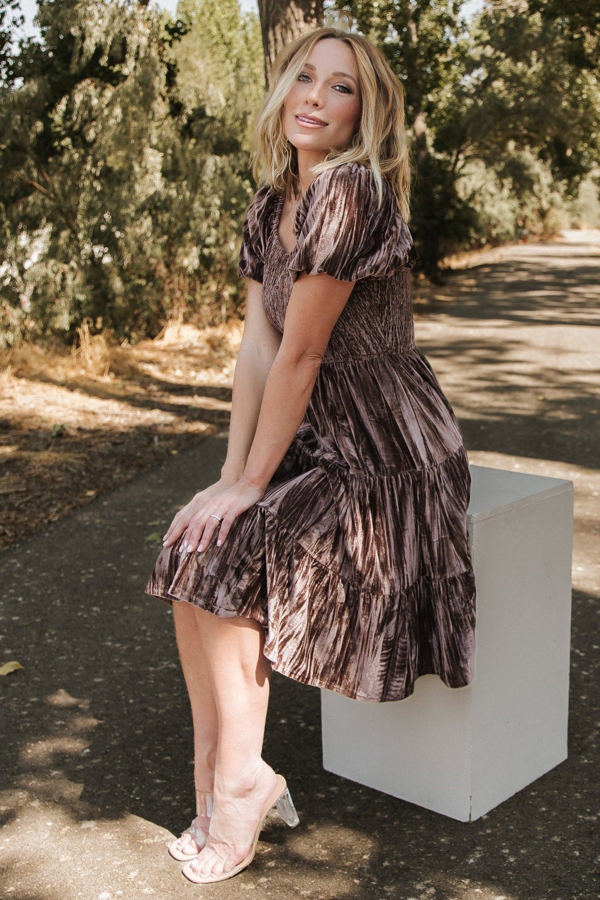 Fay Velvet Midi Dress | Cocoa