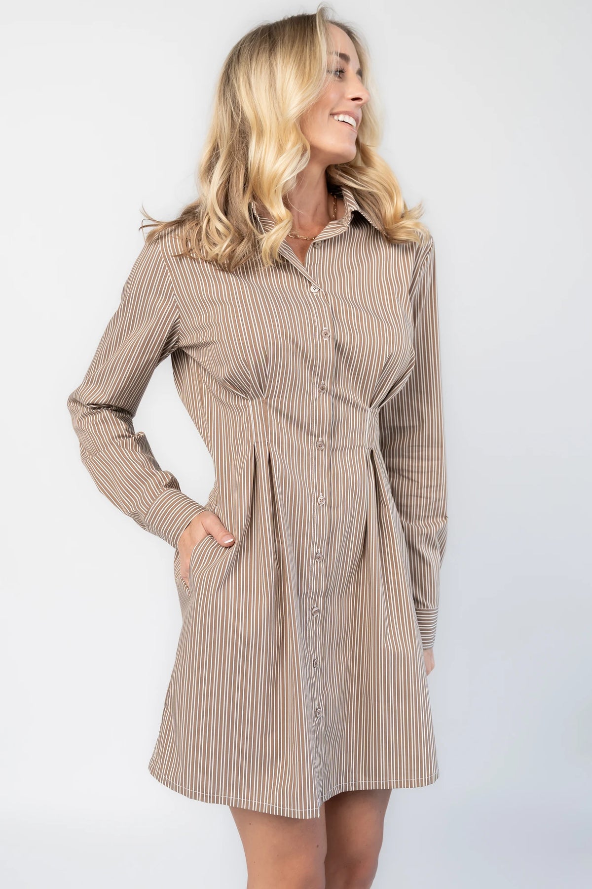 Hailey Shirt Dress in Taupe Stripe with a collared neckline, button-down front, and hidden side pockets.